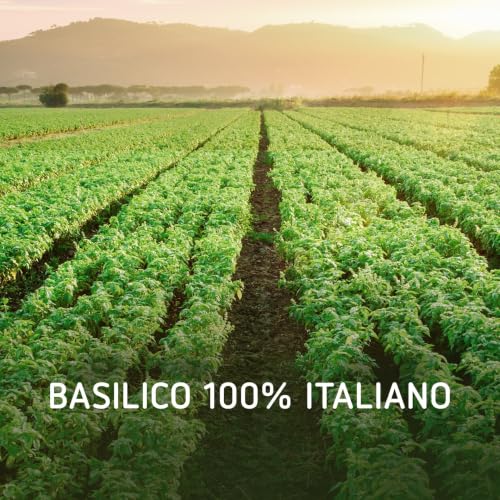 Barilla Pesto alla Genovese senza Aglio con Basilico Fresco Italiano, 190 g - Immagine 2