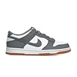 Kid's Dunk Low Sneaker