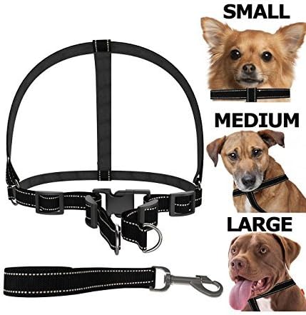 Dog Harness [FREE Leash Included] Heavy Duty - Adjustable & Durable - Premium Quality - Best Pet Control Training and Walking - Rescue Harness Collar for Large/Medium/Small Dog (Small) by Droiee