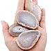 rockcloud 10 Pcs Agate Light Table Slices, Healing Crystals Geode Stones,Irregular Home Decoration Jewelry Making,Natural Color