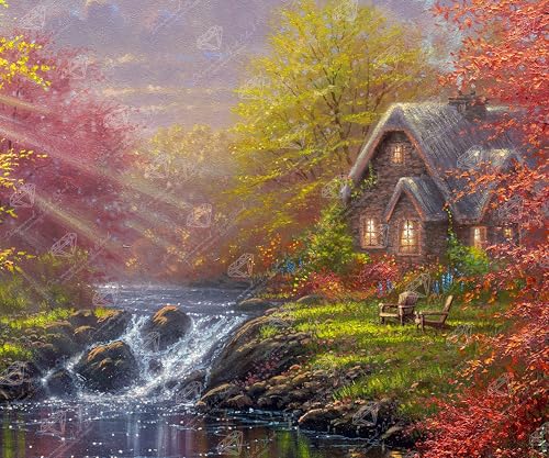 Diamond Art Club Dragonfly Dream