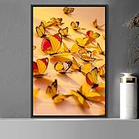 Framed Canvas Wall Art Butterflies Butterfly Colorful Farmhouse/Country Hallway Insects Multicolor Photography - 16x24 inches