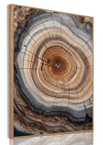 IBHJSART Framed Tree Ring Canvas Wall Art Vintage Colorful Wood