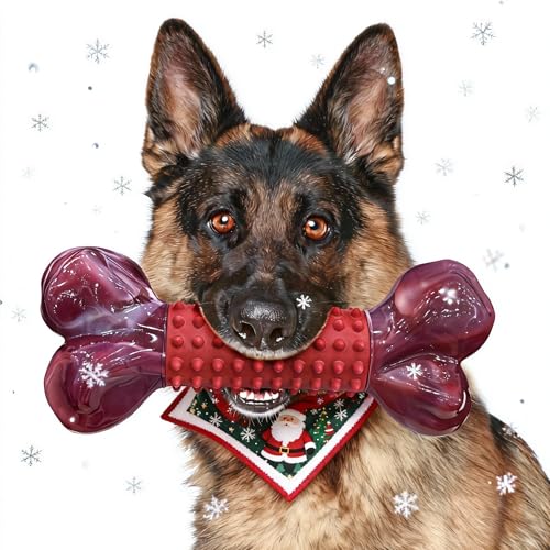 ChienBox Dog Toys Indestructible for Aggressive Chewers: Tough Dog Chew Toys for Medium Large Dogs, Strong Dog Toys for Boredom Dental Health, Long Lasting Hard Nylon & Natural Rubber, Beef Flavour