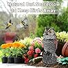 Owl Decoys to Scare Birds Away, 2 Pack BobbleHead Fake Owls Plastic Scarecrow Bird Deterrent, Nature Enemy Scarecrow Plastic Owl Statues, Garden Decor Statues for outside, Patio, Lawn, Yard Decoration