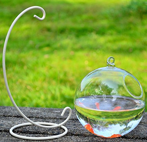 Hanging Glass Fish Tank Transparent Spherical Fish Bowl Creative Fishbowl Vases(Include The Stand+Glass Bowl) (White, Small) #TOP1