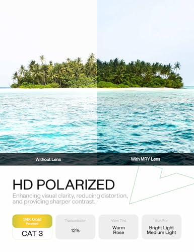 Image of Mryok Replacement Lenses for Arnette Stance AN4020 Sunglasses, HD Polarized, UV Protection, Impact Resistant & Perfectly Fit