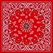 Zan Headgear Bandanna, 100% Cotton, Paisley Red, Premium, 22 x 22 in.