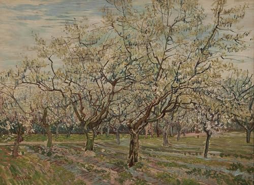Affiches d'art Van Gogh pour décorer un bureau moderne
