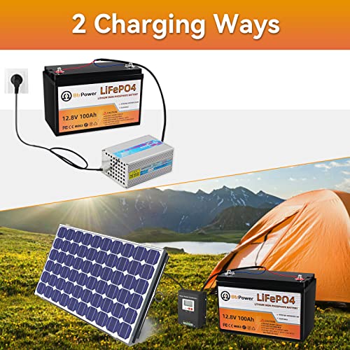 Image of 2 Pack 12V 100Ah Li FePO4 Deep Cycle B attery,Built-in 100A BMS | Support 4S4P,5000-7000 Cycles,Perfect for RV Solar Marine Overland Off-Grid Application