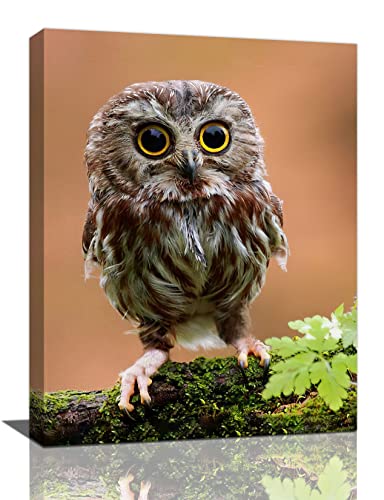 Funny Owl Wall Decor Rustic Cute Owl Pictures Wall Art Country Wildlife Bird Painting Canvas Print Framed Home Artwork For Living Room Bathroom Bedroom Kitchen Office 12"X16" #TOP6