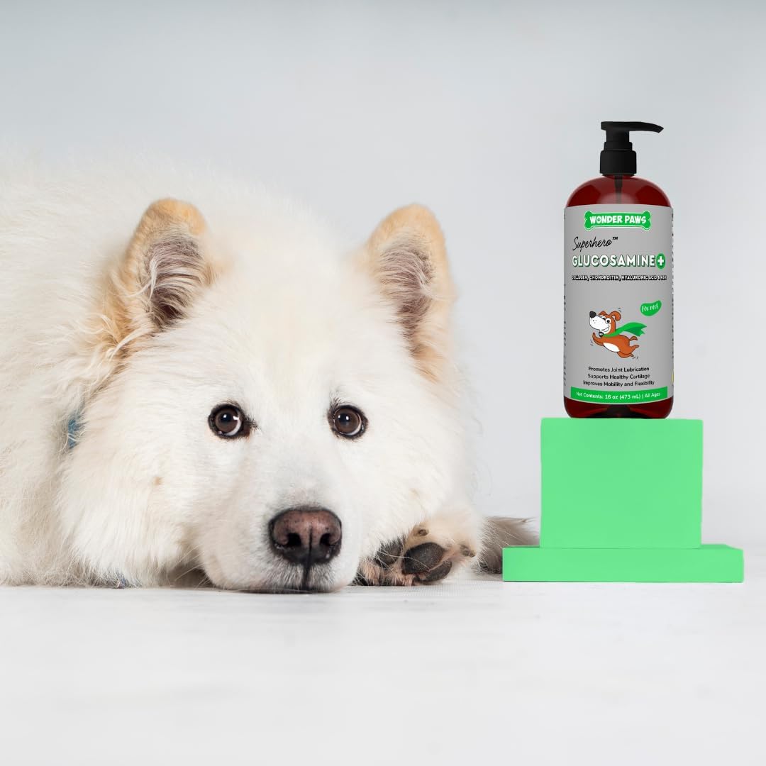 WONDER PAWS Kidney Cleanse Drops Plus Liquid Glucosamine Superhero Drops - for Dog's Kidney Health, Mobility, Joint Care & Immune Support – Kidney Cleanse 2 Ounces - Liquid Glucosamine 16 Ounces