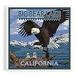 Lantern Press Big Bear Lake, California, Bald Eagle and Chicks (Absorbent Ceramic Coaster, Single, Cork Back, Kitchen Table Decor)