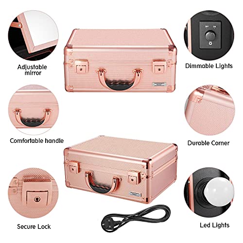 Kemier Makeup Train Case - Cosmetic Organizer Box Makeup Case with Lights and Mirror / Makeup Case with Customized Dividers / Large Makeup Artist Organizer Kit (Rose Gold)