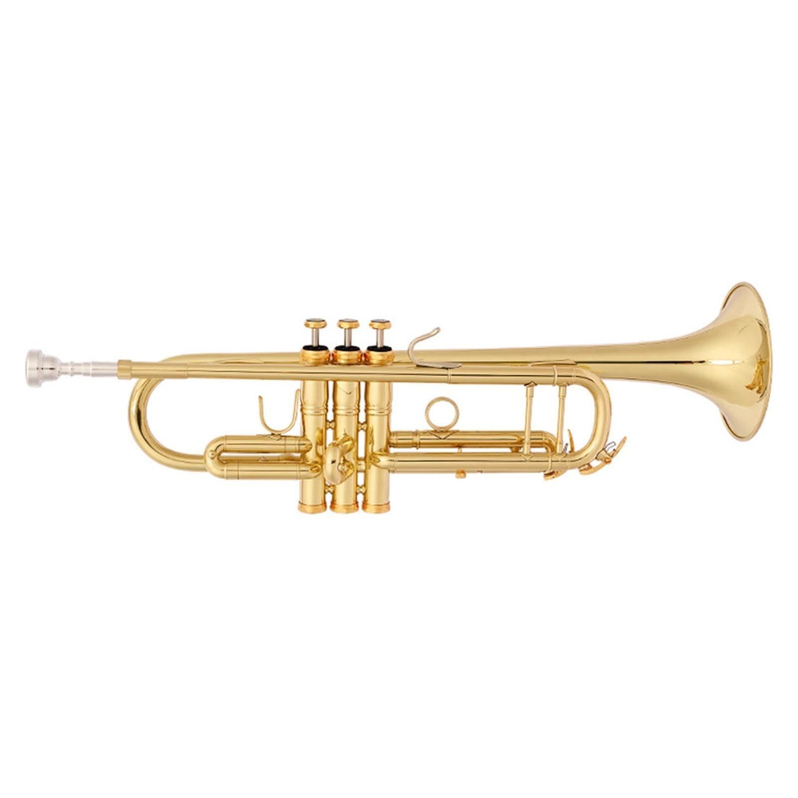 Professional Trumpet Trompeta en Sib para principiantes