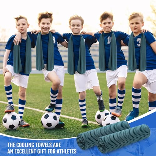 image for Hosuly 30 Pack Cooling Towels, 40