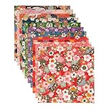 【Amazon.co.jp 限定】和紙かわ澄 特撰 手染め 京 友禅和紙 千代紙 15cm 柄いろいろ 10柄入