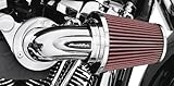  Dekorative Medaillon, schwere Verschnaufpause Screamin Eagle Harley Davidson Design
