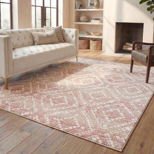 SAFAVIEH Adirondack Area Rug 9'x12', Boho Rose & Gold ADR131Q