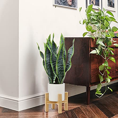 Hollyone Artificial Snake Plant Potted With Solid Wood Plant Stand, 19" Faux Sansevieria Tropical White Ceramic Pots Fake Plants For Home Office Indoor Decor Housewarming Gift #TOP4