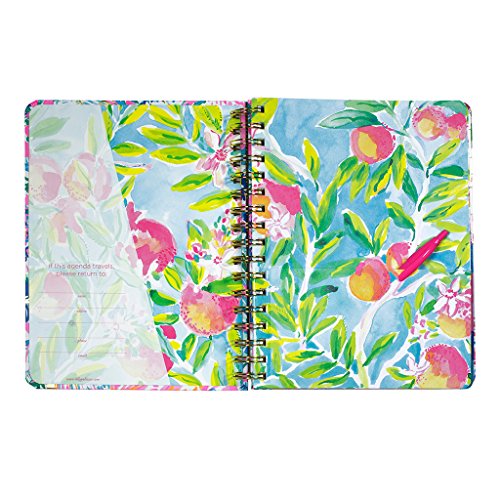Pheral Fit Lilly Pulitzer 17 Month Medium Agenda 2017-2018 (Off The Grid) #TOP2