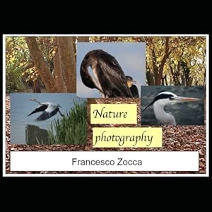 Fotografia naturalistica - Nature photography: Foto di aironi, garzette, cormorani, gabbiani ed altre specie - herons, egrets, cormorants, gulls and others species photos