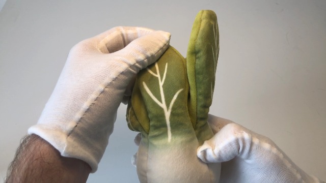 Watch My Review of the Jellycat Bok Choy Vivacious Vegetable Plush