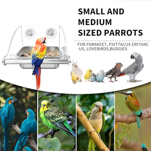 Lukhmelf BIRD FEEDERS Feeder With Anti-Slip Stand thumb #3