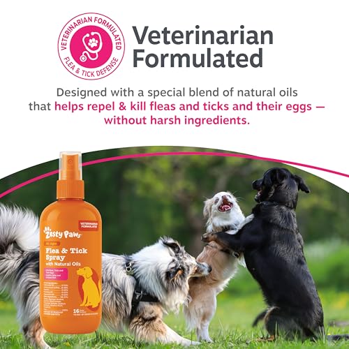 Image of Zesty Paws Flea and Tick Spray for Dogs - Kill Fleas, Ticks & Their Eggs - Veterinarian Formulated - Soothes Itchy & Irritated Dog Skin - Cedarwood Oil, Rosemary Oil & Peppermint Oil