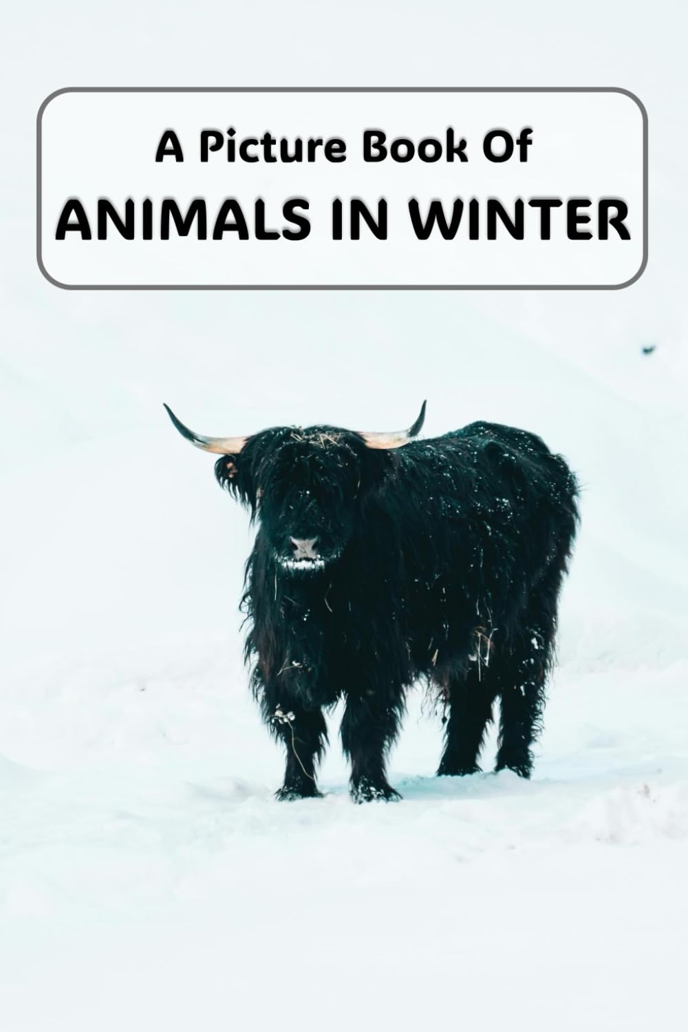 A Picture Book of Animals In Winter: A Soothing Photo Collection for Seniors with Alzheimer's or Dementia (Picture Books for Seniors)