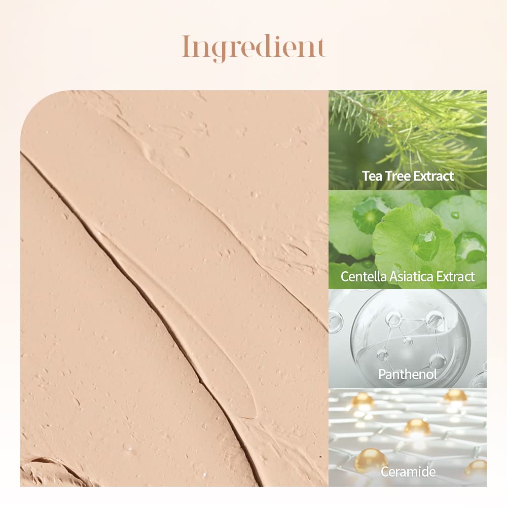 Paleta corrector profesional (cubierta 01) | Corrector de color | Maquillaje coreano | Vegano 9