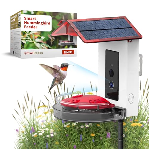 Smart Solar Hummingbird Feeder with Camera & Bird ID