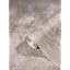 Bronze, Braun