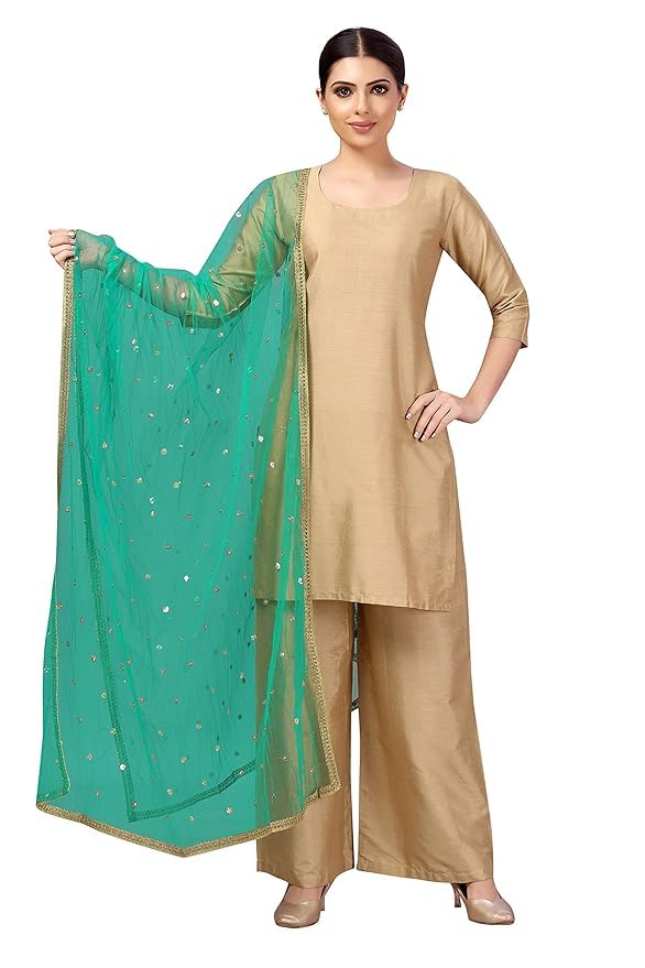 !pts! Women's Net sequence Embroidered Full Size Dupatta