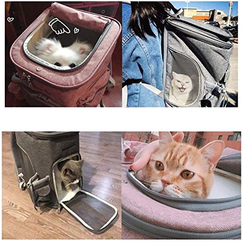 Mochila para perros pequeños de diseño blando para uso al aire libre 8