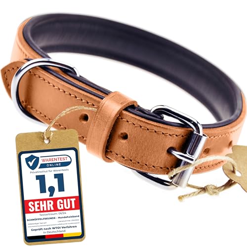 Schnüffelfreunde Halsband für Hunde aus Leder, Hundehalsband für den großen, mittleren und kleinen Hund, Lederhalsband gepolstert, robust (S - 24-30cm, Beige)