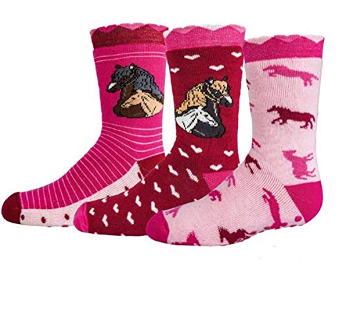 3 Paar Damen und Teenager Socken VollFrottee & ABS Kindersöckchen 'RomantikPferdemotiv' CH-134 (5-6 (= 27-30)) Cover