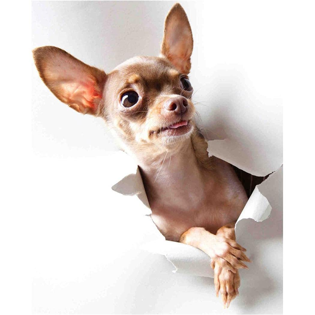 Nprzm H250 5D Diamond Painting Chihuahua Dog Round Rhinestones Adult Painting By Number Art Craft Kit Home Decor Gifts 30X40cm