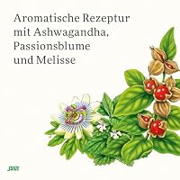 Salus – Neuro Balance Bio Ashwagandha Tee – 1x 15 Filterbeutel – Ansicht 3