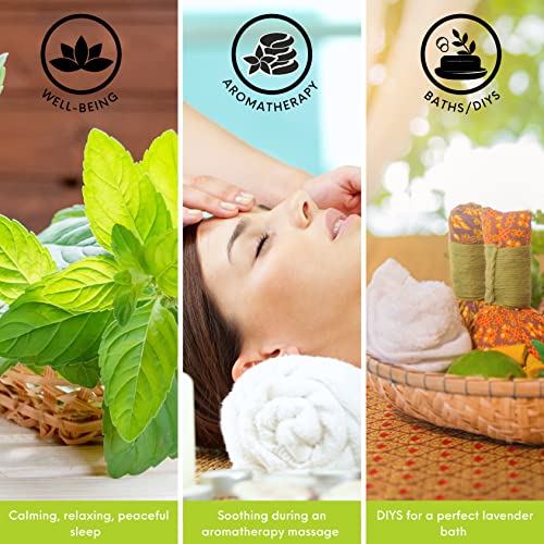 Nv Superfoods Organic Peppermint Essential Oil - 1 Fl Oz - Usda Certified Organic, Non-Gmo,Pure & Natural, Therapeutic Grade Oil For Diffuser, Skin, Nail & Hair Care & Home Essentials #TOP2