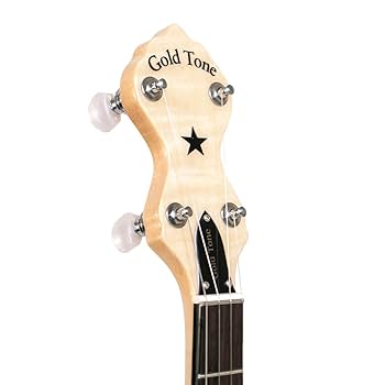 Amazon.com: Gold Tone MM-150 Maple Mountain Openback Banjo