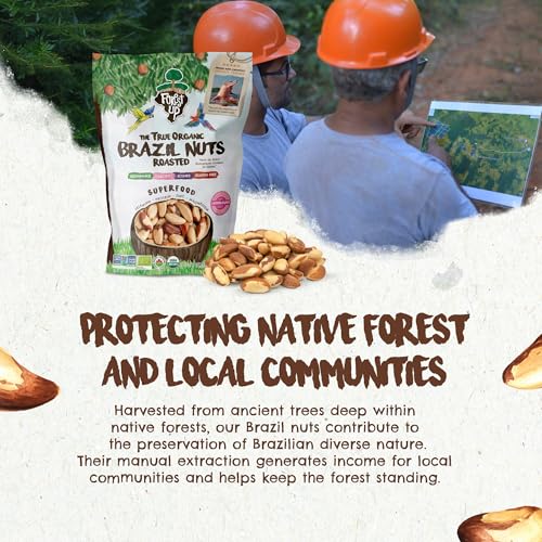 FLORESTA EM PÉ - The True Organic Premium Brazil Nuts (15oz) Roasted & Himalayan Salt | KOSHER | Non-Gmo | Certified Organic | No Oil | Fresh | Vegan | Gluten Free | Keto and Paleo Friendly | Sustainably Harvested
