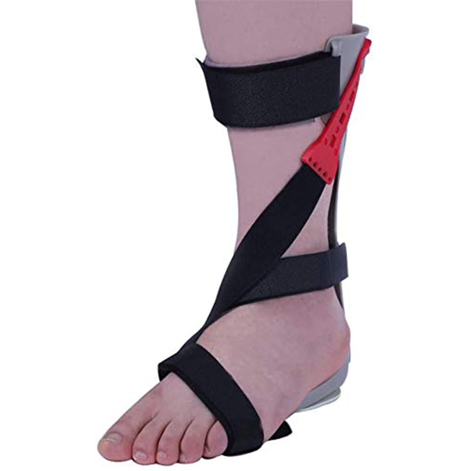 Buy ECHBH Foot Support, Foot Drop Brace Ankle Foot Orthosis Medical