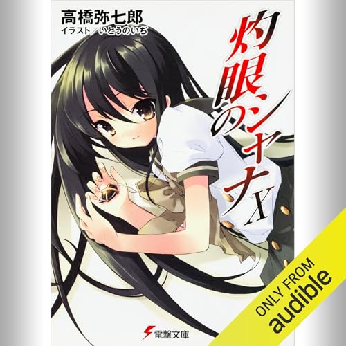 [10巻] 灼眼のシャナX: (KADOKAWA)