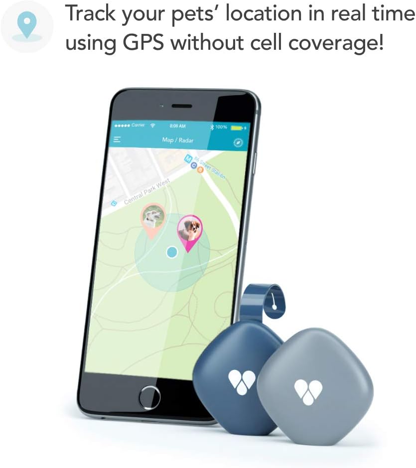 findster cat tracker