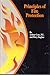 Produktbild Principles of Fire Protection