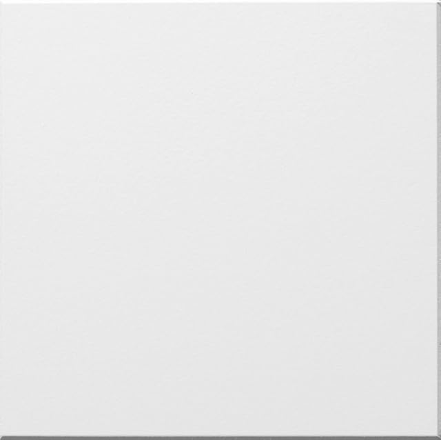 Suspended Vinyl Ceiling Tiles 595mm x 595mm - EASYCLEAN & Wipeable, 600 x 600mm Pack of 10 Tiles for 3.6m2 Area