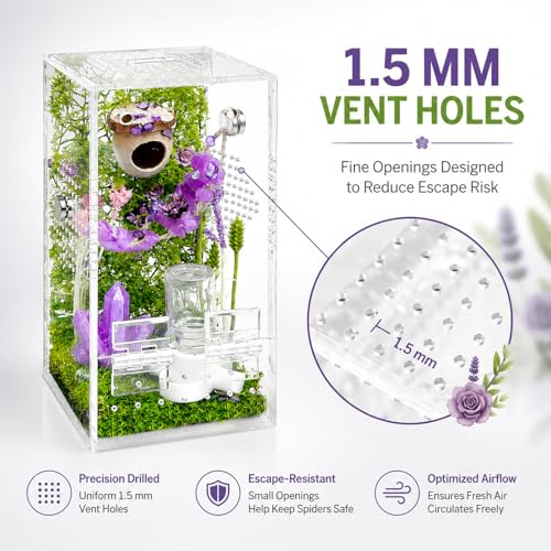 Image of Jumping Spider Enclosure,DIY Insects Habitat,Small Reptile Terrarium Glass House Accessories Set,with Jumping Bridge Hide Water Feeder (Purple)