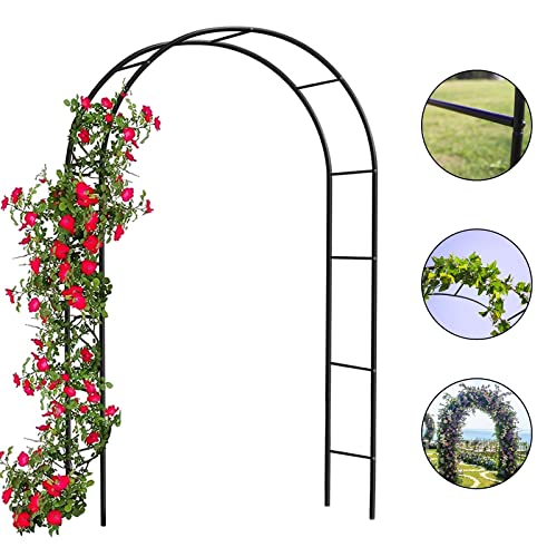 Denny International 2.4M Garden Arch Trellis Arched Metal Tubular Frame Climbing Plant Archway Arbour, Green - 6