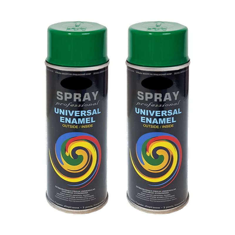 CARSKY RAL Lackspray 6021 Hellgrün Matt – 400 Ml Sprühdose Für Metall, Holz & Mehr